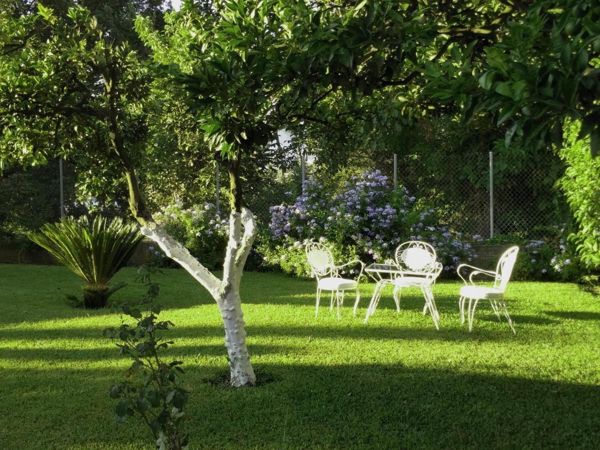 Casa Malu Boutique Apartments - No 1 Gouvia Esterno foto